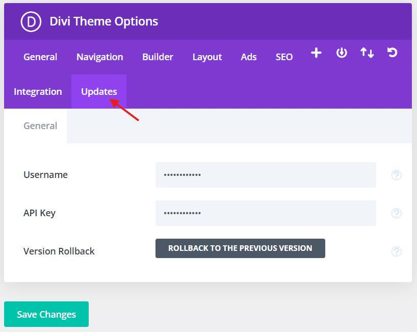 Adding the API key