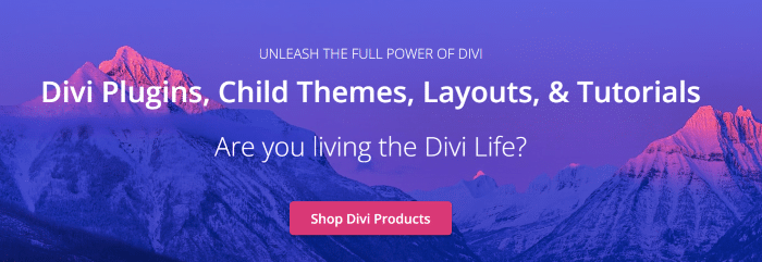 Divi Life homepage