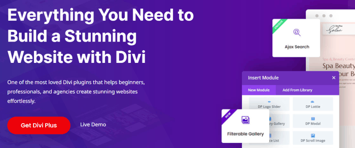 Divi Plus homepage