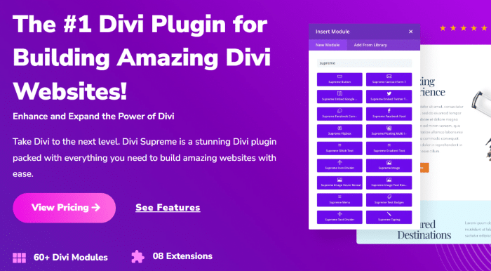 Divi Supreme homepage